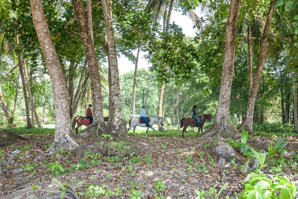 Relax Natural Village Adults Only Puerto Viejo de Talamanca Exterior photo